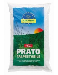 EUROSEME CALPESTABILE SACCO... 2