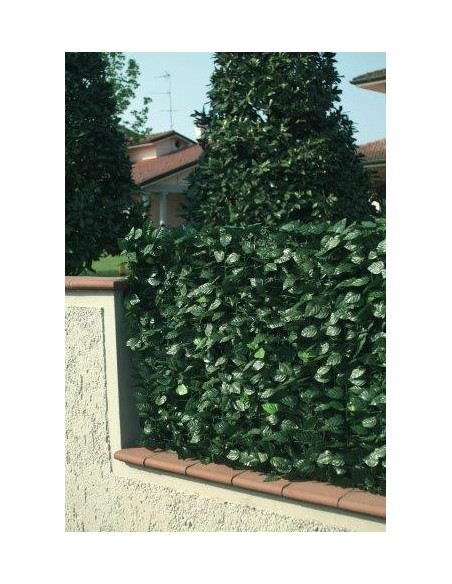 SIEPE LAURO H.150 MT.3