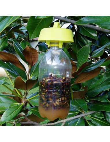 BIO TRAPPOLA PER PIANTE 1 PZ BIO TRAPPOLA PER PIANTE 1 PZ