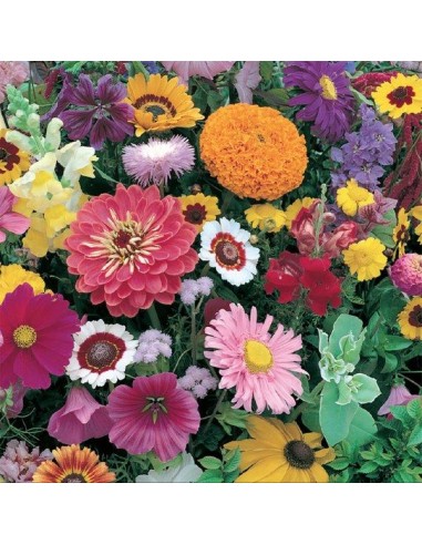 CONCIME BIO UNIVERSALE GR.1000 CONCIME BIO UNIVERSALE GR.1000