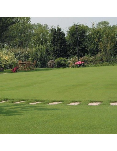 CONCIME "MUSCHIOSTOP" GR.1500 CONCIME "MUSCHIOSTOP" GR.1500