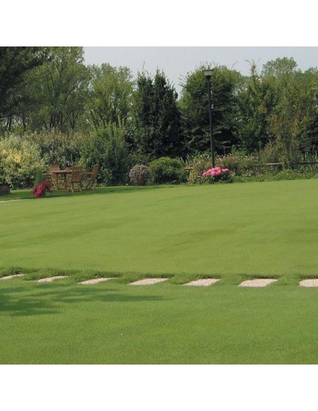 CONCIME "MUSCHIOSTOP" GR.1500