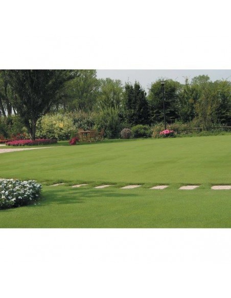 CONCIME GRANULARE PRATO PER MANTENIMENTO KG.4