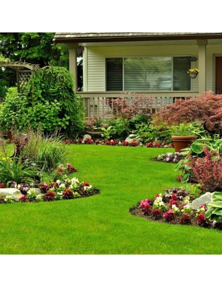 CONCIME "FERRO PLUS" KG.5