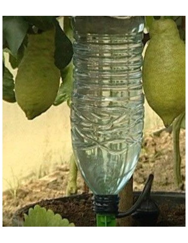 DISSETA PIANTE TEKNO POKER 4 PZ DISSETA PIANTE TEKNO POKER 4 PZ