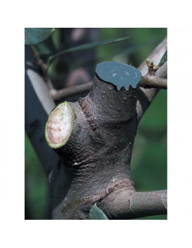 MASTICE CON RAME GR.250 MASTICE CON RAME GR.250