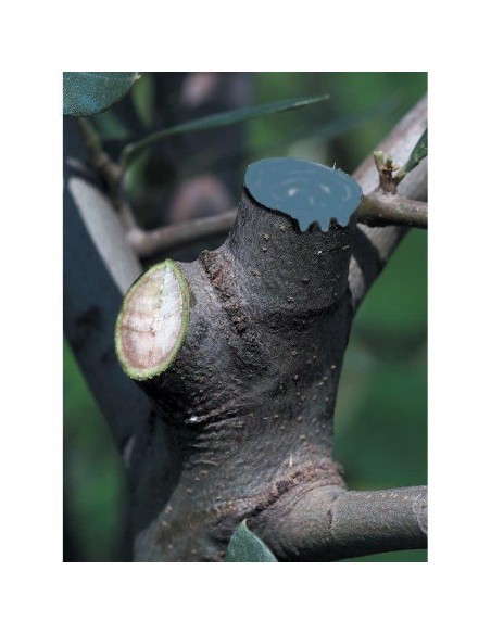 MASTICE CON RAME GR.250