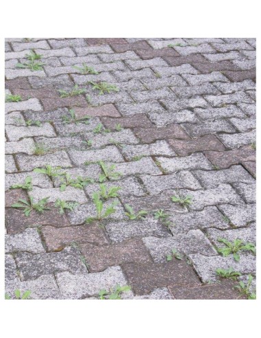 ACIDO ACETICO ML.1000 ACIDO ACETICO ML.1000