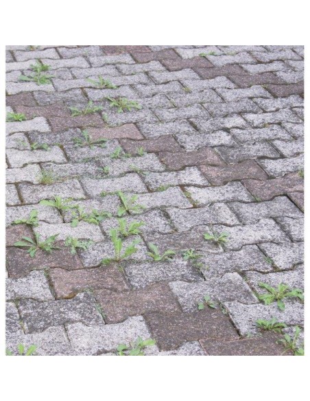 "DISERBOSAN" ERBICIDA RTU 1000 ML