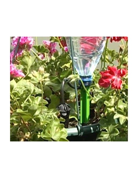 DISSETA PIANTE TEKNO POKER 4 PZ