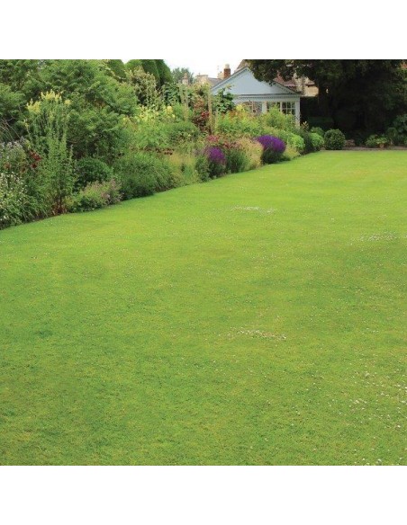 CONCIME "MUSCHIOSTOP" GR.1500