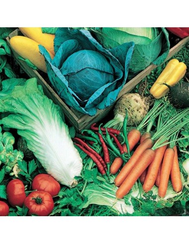 CONCIME STALLATICO "FERT STALL" KG.5 CONCIME STALLATICO "FERT STALL" KG.5