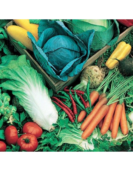 CONCIME STALLATICO "FERT STALL" KG.5