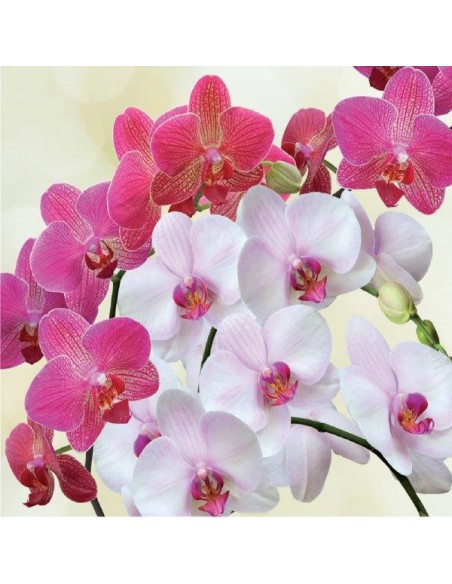 INTEGRATORE "NUTRE GIUSTO" PER ORCHIDEE 6X35ML