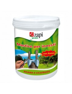 MASTICE PER INNESTI GR.200