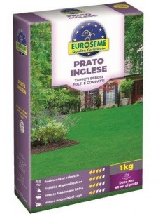 EUROSEME INGLESE 1000 G 2