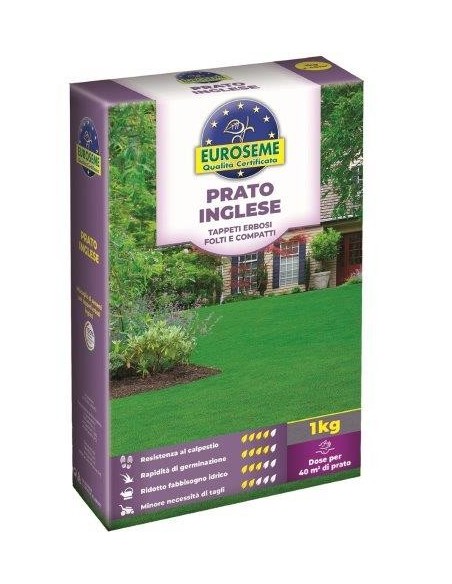 EUROSEME INGLESE 1000 G