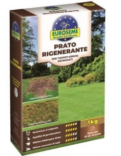 EUROSEME RIGENERANTE 1000 G 2