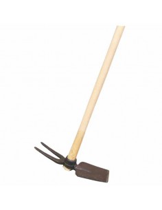 ZAPPINO QUADRO BICORNA CON...