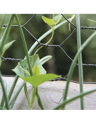 RETE METALLICA ESAZINCATA RETE METALLICA ESAZINCATA