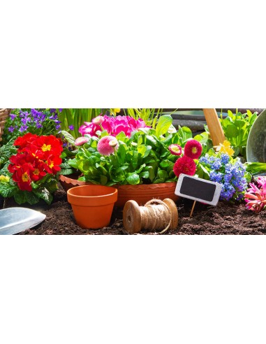 TORBA DI SFAGNO LT.20 TORBA DI SFAGNO LT.20