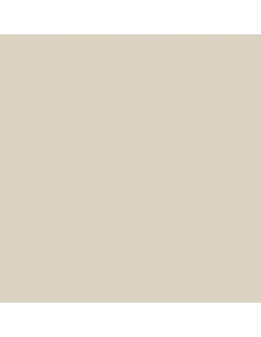 SMALTO MULTISUPPORTO Lt. 0,50 BEIGE