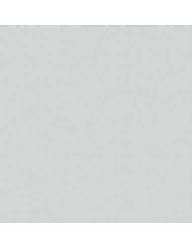 SMALTO MULTISUPPORTO Lt. 0,50 GRIGIO...