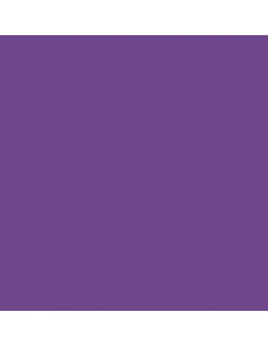 SMALTO MULTISUPPORTO Lt. 0,50 VIOLA...