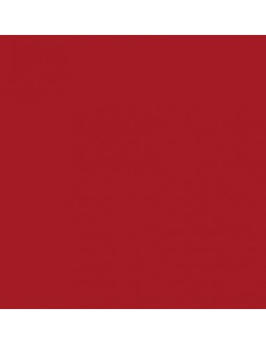 SMALTO MULTISUPPORTO Lt. 0,50 ROSSO