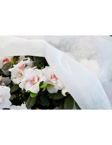 TELO CAPPUCCIO PROTETTIVO ANTIGELO... TELO CAPPUCCIO PROTETTIVO ANTIGELO...