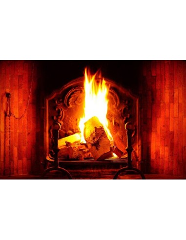 FASCIO LEGNA DURA 22 CM FASCIO LEGNA DURA 22 CM