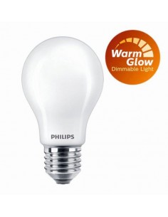 LAMPADINA A LED INTENSITA'... 2