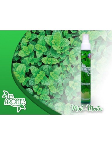 LES AROMES DEODORANTE SPRAY 75ML MENTA