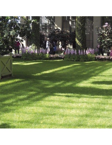 PRATO VERDE SINTETICO PRATO VERDE SINTETICO