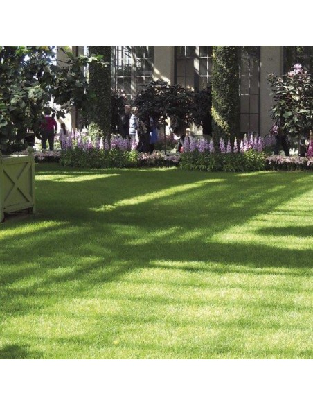 PRATO VERDE SINTETICO