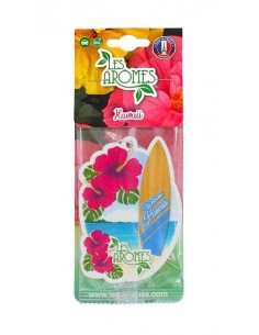 LES AROMES DEODORANTE AUTO...