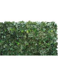 SIEPE EDERA MT.1,5X3 2