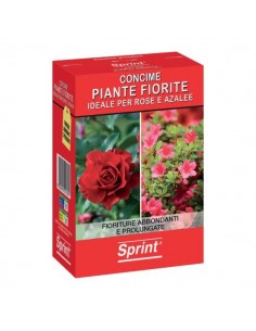 SPRINT PIANTE FIORITE...