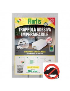 TRAPPOLA ADESIVA... 2