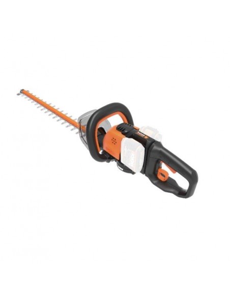 TAGLIASIEPI TG.60 WORX WG284E.9 40V