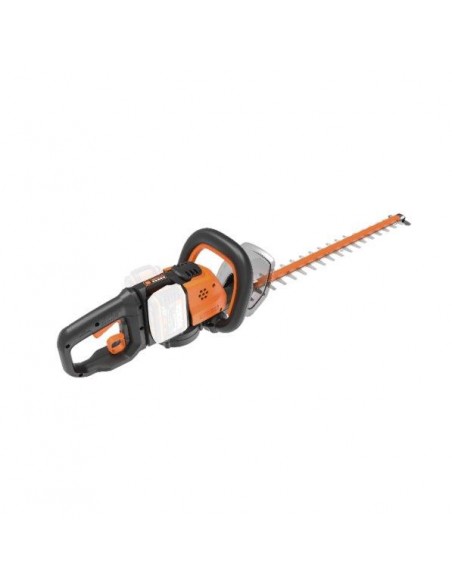 TAGLIASIEPI TG.60 WORX WG284E.9 40V