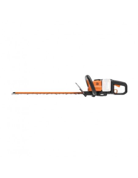 TAGLIASIEPI TG.60 WORX WG284E.9 40V