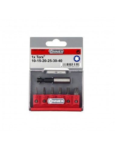 SET INSERTI TORX+ADATTATORE PZ.6