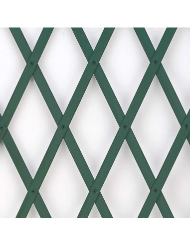 TRALICCI ESTENSIBILI VERDI 4X1 TRALICCI ESTENSIBILI VERDI 4X1