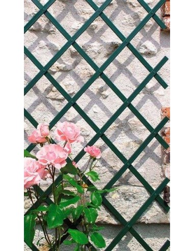 TRALICCI ESTENSIBILI VERDI 4X1 TRALICCI ESTENSIBILI VERDI 4X1