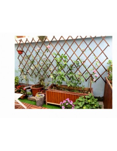 TRALICCIO LEGNO ESTENSIBILE  MT.2,45X90H TRALICCIO LEGNO ESTENSIBILE  MT.2,45X90H