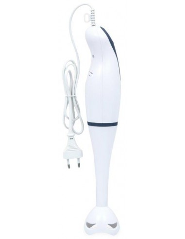 FRULLATORE AD IMMERS. 250W JOYTECK FRULLATORE AD IMMERS. 250W JOYTECK