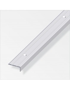 PROFILO DI CHIUSURA 25X10...