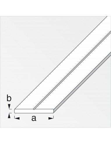 BARRA PIATTA 19,5X2 PVC BIANCO 1 METRO