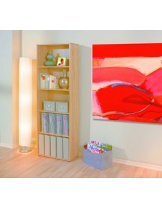 LIBRERIA 5 VANI ROVERE 2